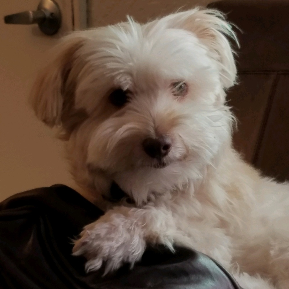 Meet your Posher, Roger